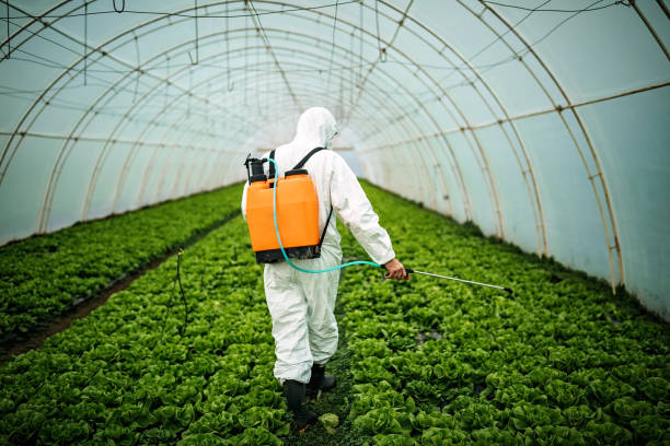 Best Mosquito Control Services  in Prairie Grove, IL