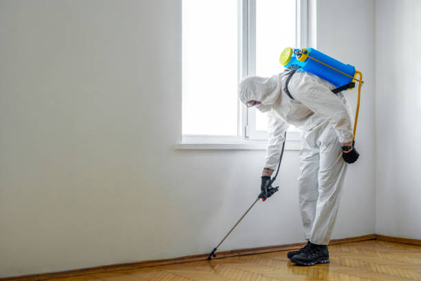 Best Pest Control for Businesses  in Prairie Grove, IL