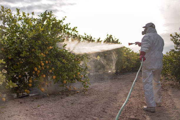 Best Pest Control Cost  in Prairie Grove, IL