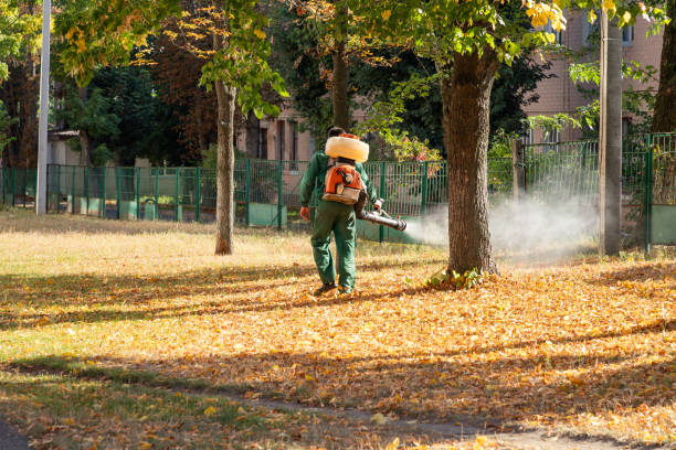 Pest Control for Restaurants in Prairie Grove, IL