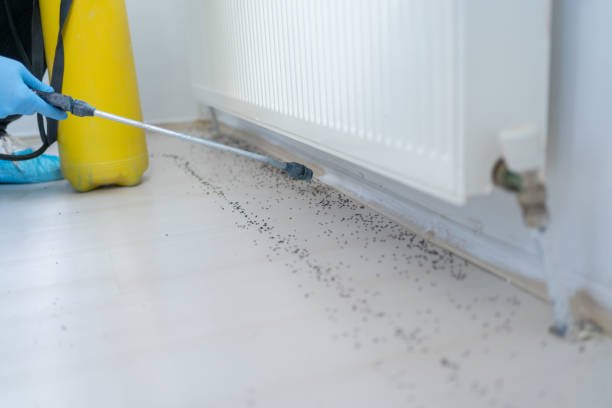Best Best Pest Control Companies  in Prairie Grove, IL