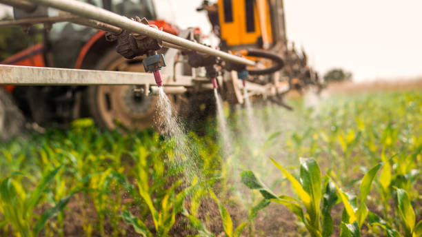 Best Pest Control Near Me  in Prairie Grove, IL